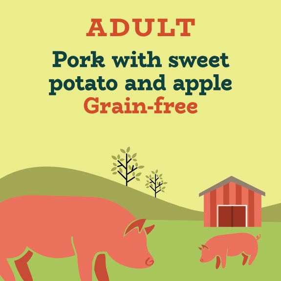 Grain free pork dog food with potato, apples and prebiotics