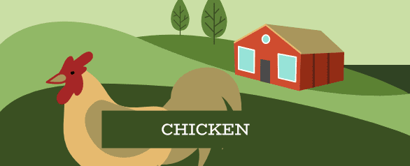 Chicken Dog Food