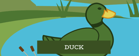 Duck Dog Food