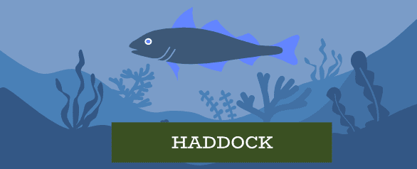 Haddock Dog Food