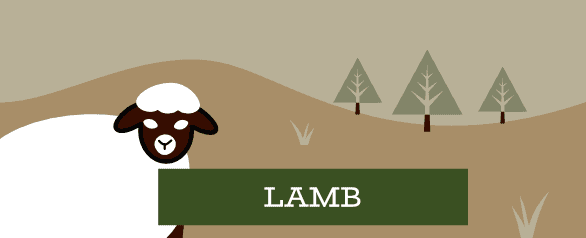 Lamb Dog Food