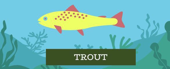 Trout Dog Food