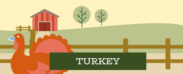 Turkey dog food