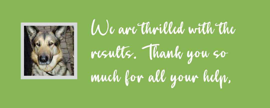 Nutrix testimonial for german shepherd with EPI a great succes Nutrix Pet Foods