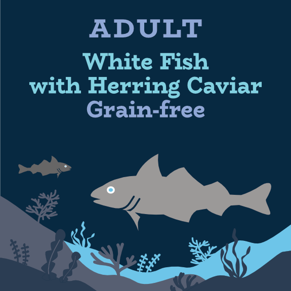 Dry Cat Food for Sterilised Indoor Cats White Fish Herring Caviar Nutrix Pet Foods