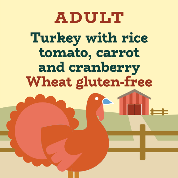 Turkey dry cat food for urinary and digestive health