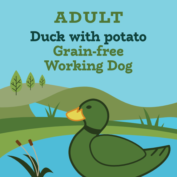 Duck and potato grain free for working dogs