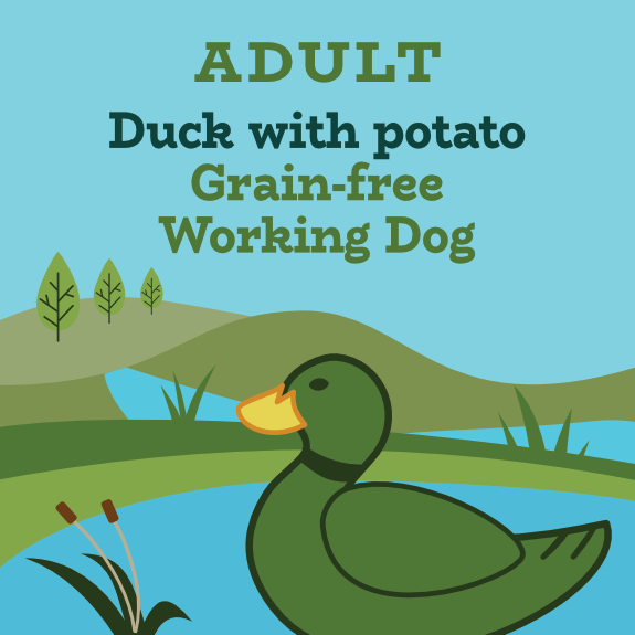 No grain free dog food discount
