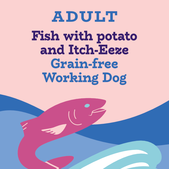 Fish and potato grain free for working dogs