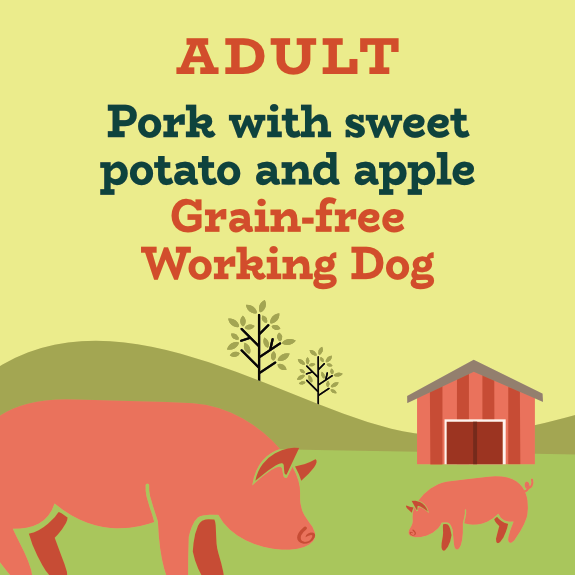 Pork and sweet potato with apple grain free working dog food