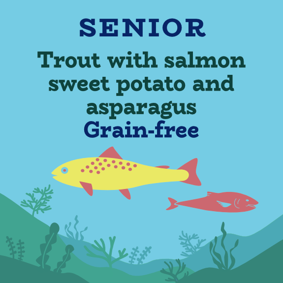 Salmon trout grain free senior dog food without chicken