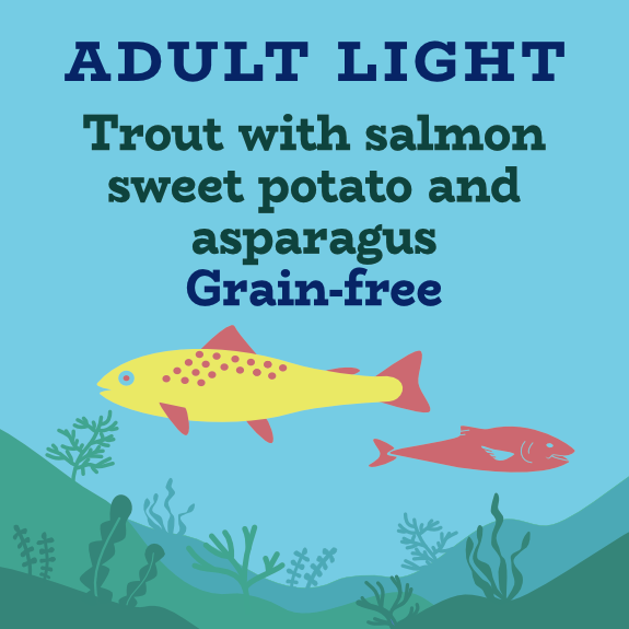 Trout and salmon grain free weight control dog food