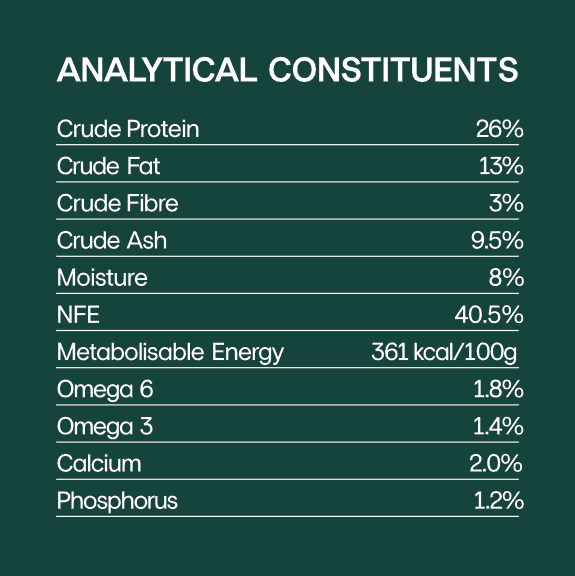 Grain free lamb dog food for digestive health