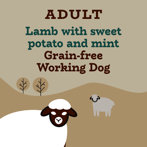 Lamb with sweet potato and mint grain free working dog food