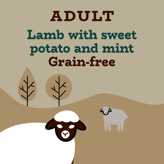 Grain free lamb dog food for digestive health