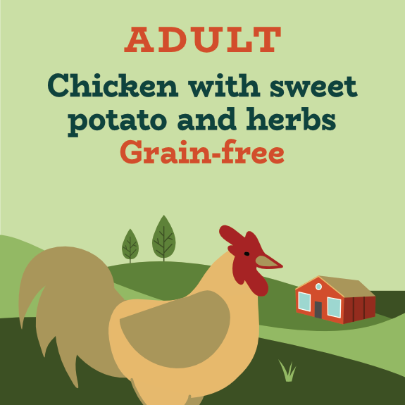 High protein grain clearance free dog food