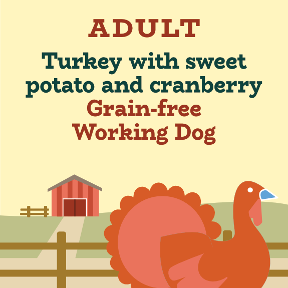 Turkey and sweet potato with cranberry grain free working dog food