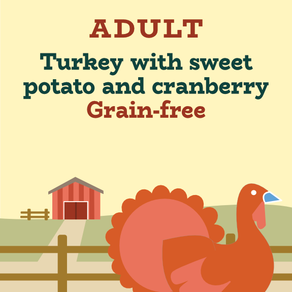 Grain-free turkey and sweet potato dog food with cranberry