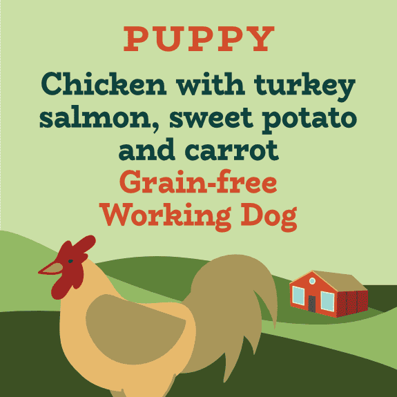 Puppy chicken, turkey and salmon grain free for working dogs