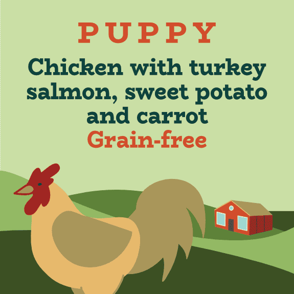 Grain free chicken turkey and salmon complete puppy food