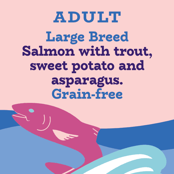 Grain free large breed dog food with salmon and trout