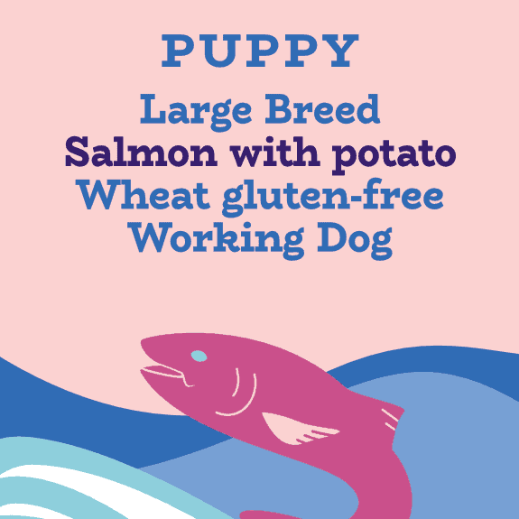Puppy food large breed salmon and potato working dog