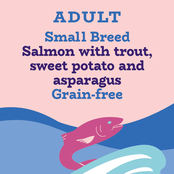 Small breed grain free salmon and sweet potato fish dog food