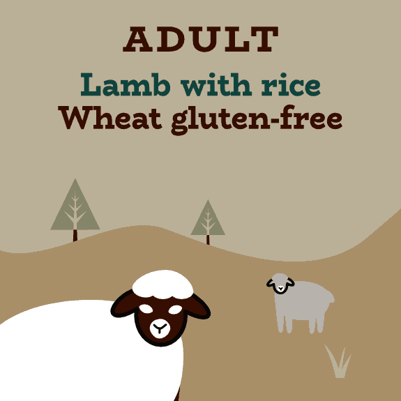 Low fat natural lamb and rice dog food