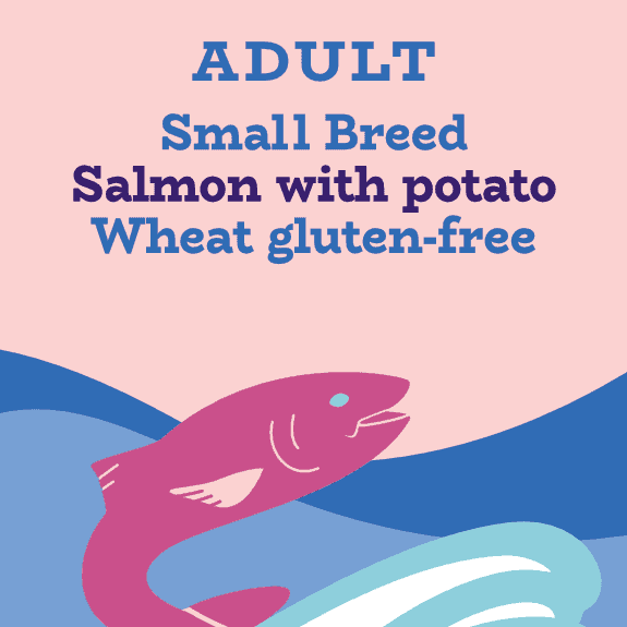 Small breed salmon and potato low fat complete dog food