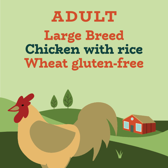Limited ingredient chicken dog food sale
