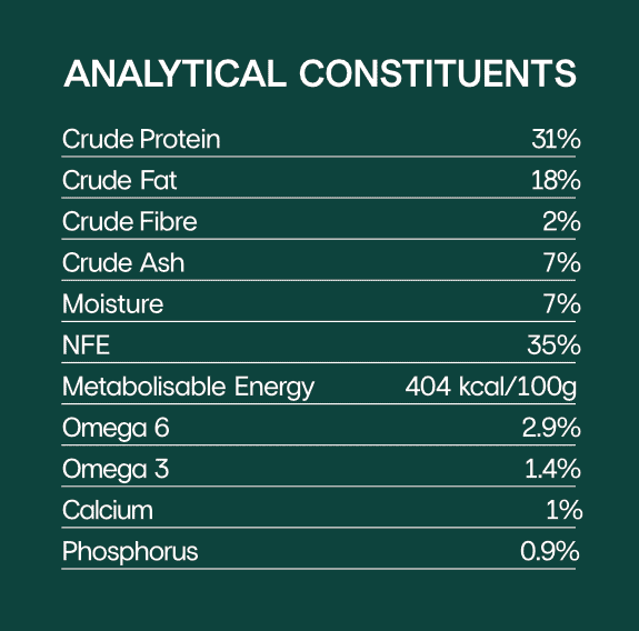 High protein sensitive kitten food with fish and chicken