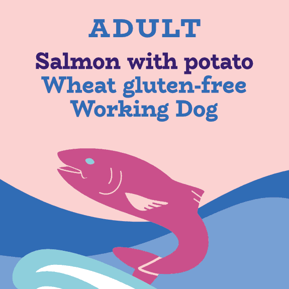 Salmon and potato working dog food