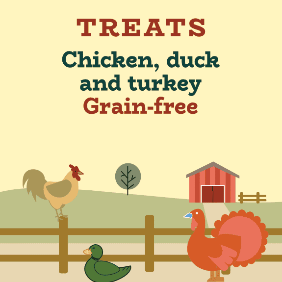 High multi-protein grain free dog training treats