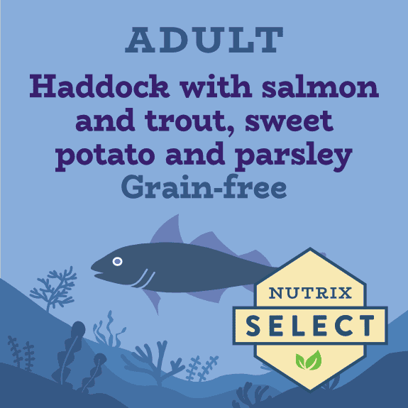 Grain free fish dog food with parsley for dogs