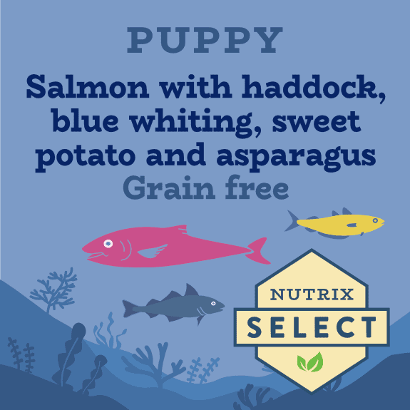Grain-Free Puppy Food, Best for Sensitive Stomachs Allergies