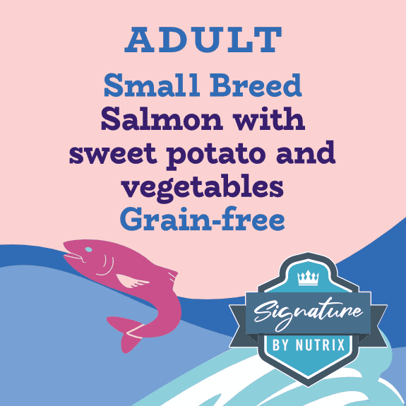 Picture Idea: Grain Free Scottish Salmon Small Breed Dog Food