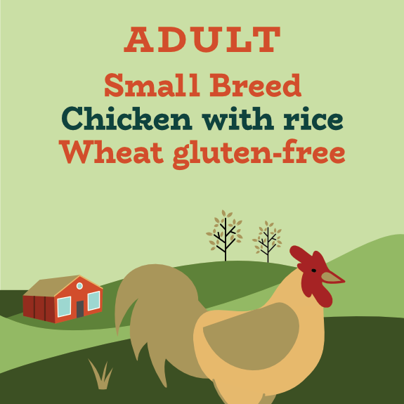 Small breed low fat diet chicken and rice dry dog food