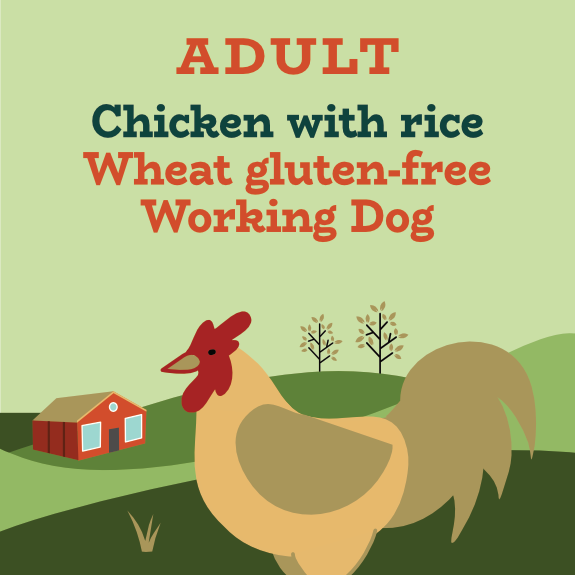 Chicken and rice working dog food
