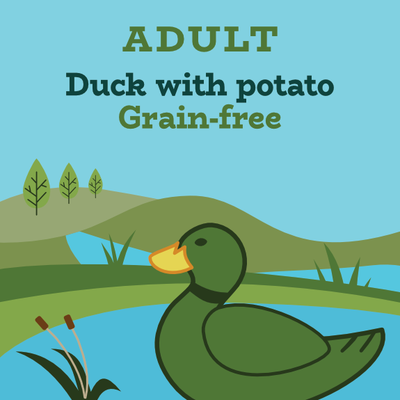 Limited ingredient grain free duck and potato dog food