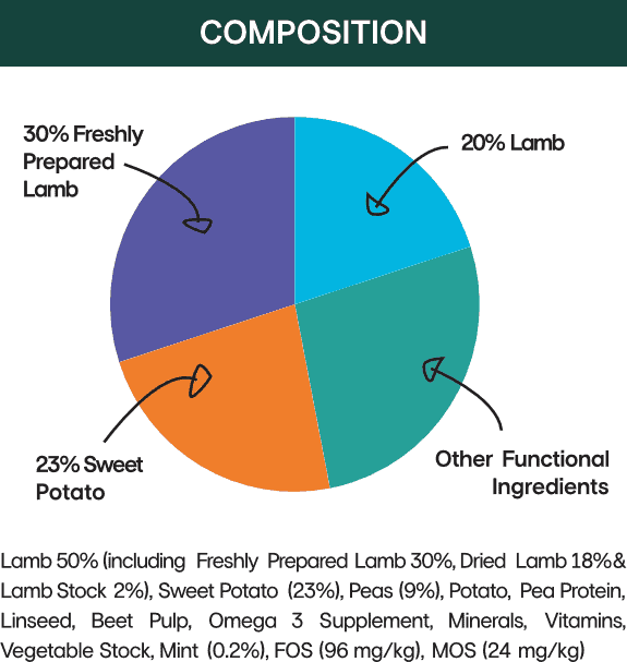 Illustration of Food For Dogs With Digestive Issues Grain Free Lamb