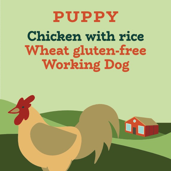 Chicken and rice working dog puppy food