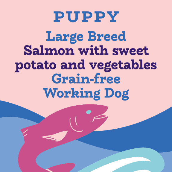 Salmon large breed puppy and junior food for working dogs