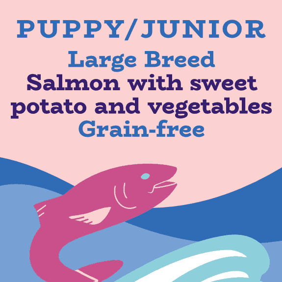Salmon large breed puppy and junior food without chicken