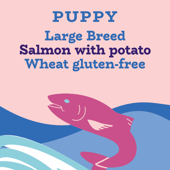 High protein large breed puppy food with salmon