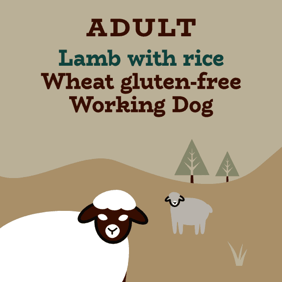 Lamb and rice working dog food