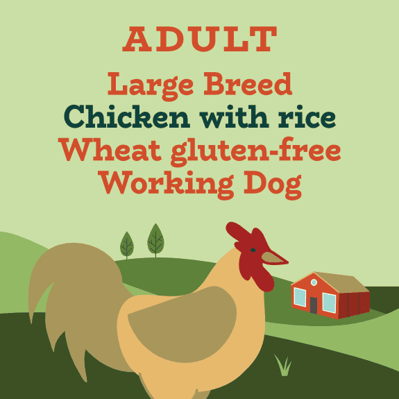 Chicken and rice large breed working dog food