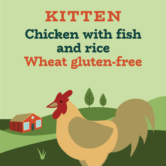 High protein sensitive kitten food with fish and chicken