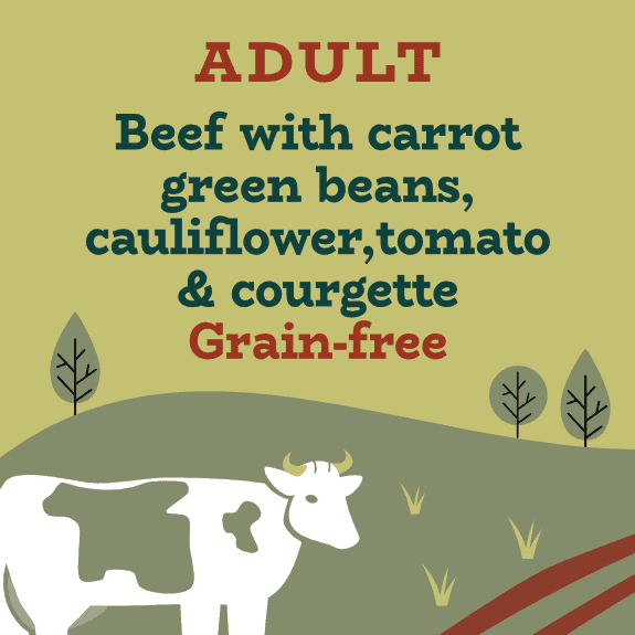 Black Angus beef dog food
