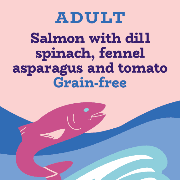 Salmon and Sweet Potato Dog Food