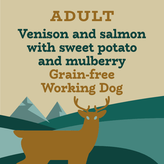 Venison, salmon and sweet potato grain-free working dog food
